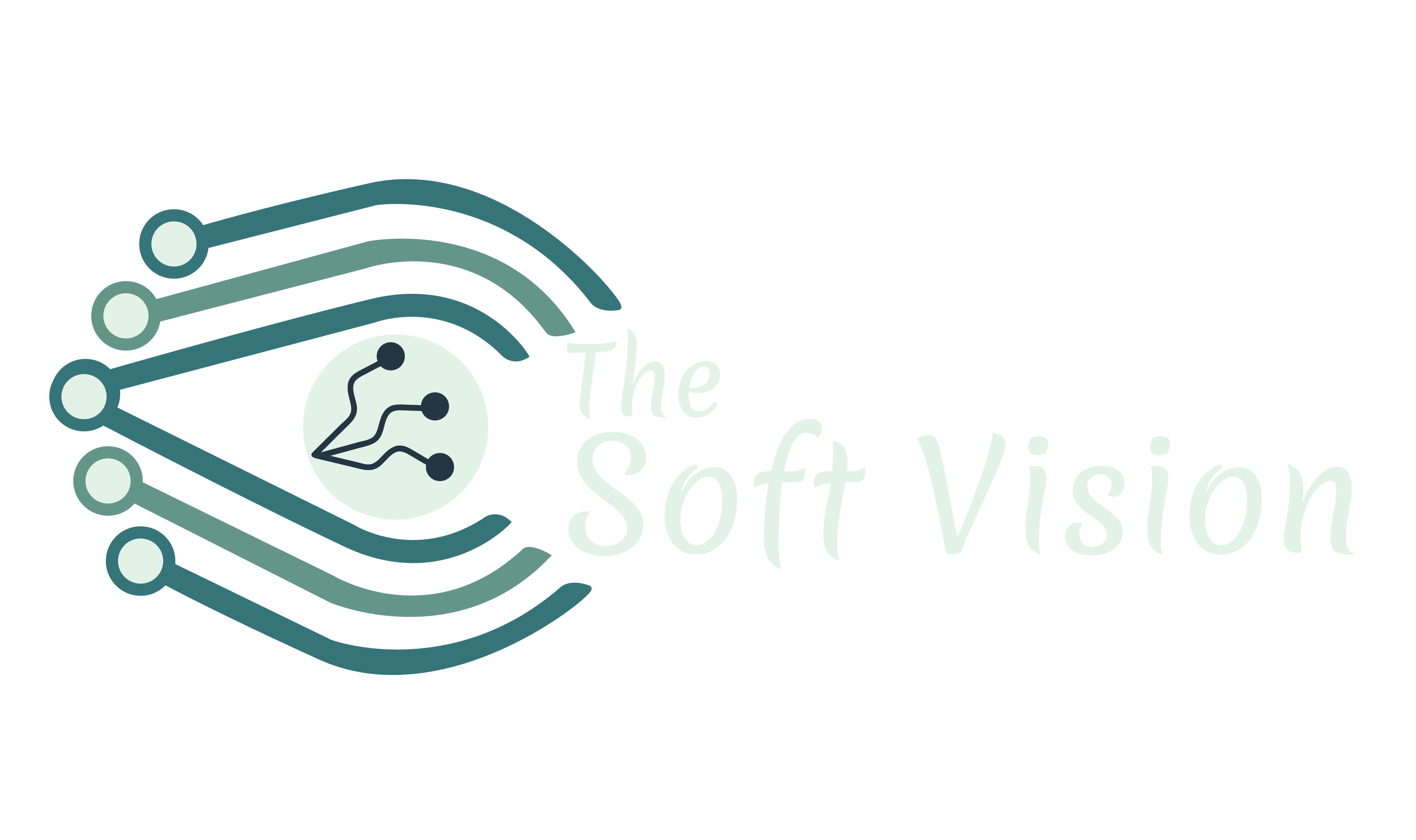 The Soft Vision Logo